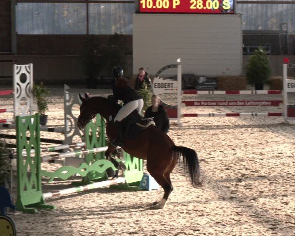 Reitturnier Heek-Nienborg 2024