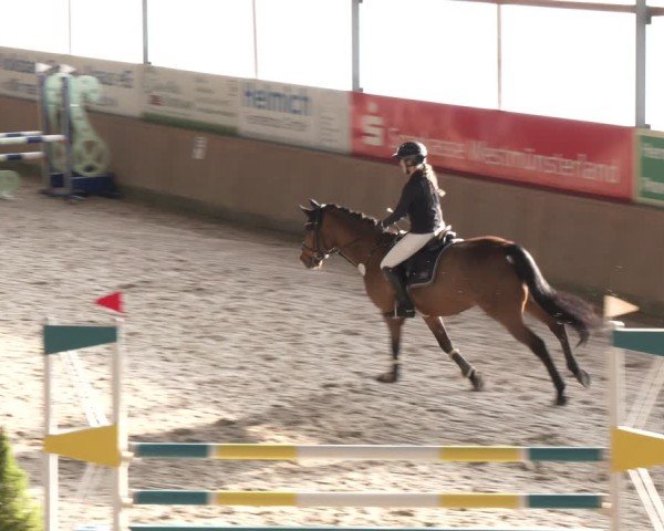 Reitturnier Heek-Nienborg 2024