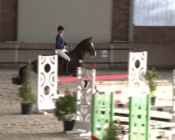 Reitturnier Heek-Nienborg 2024