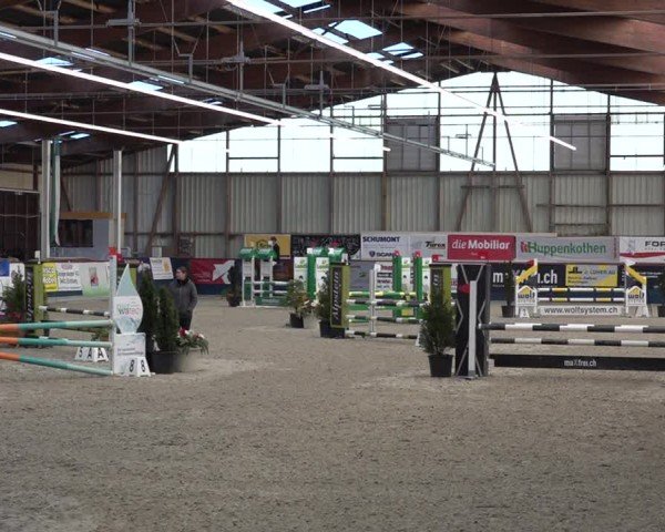 Reitturnier Oberriet 2024
