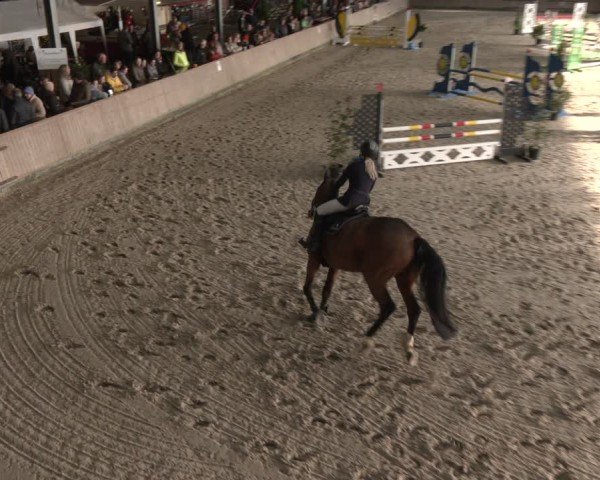 Reitturnier Heek-Nienborg 2024
