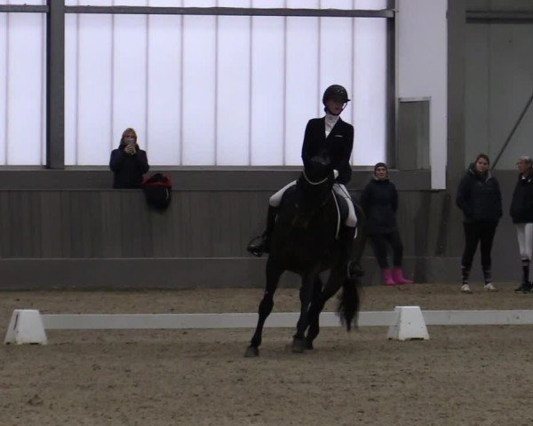 Reitturnier Münster-Handorf 2024