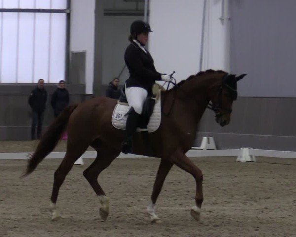 Reitturnier Münster-Handorf 2024
