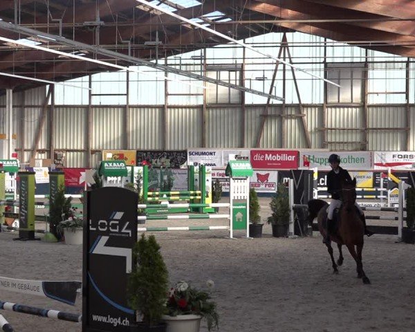 Reitturnier Oberriet 2024