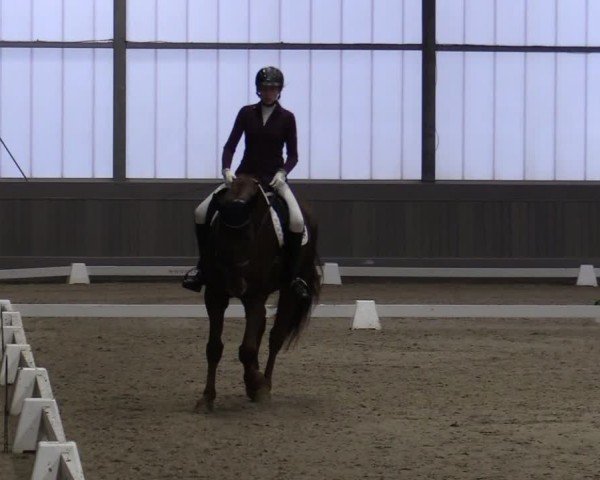 Reitturnier Münster-Handorf 2024