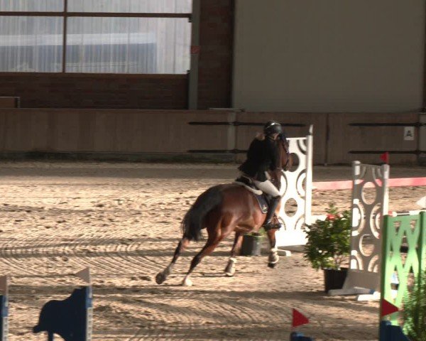 Reitturnier Heek-Nienborg 2024
