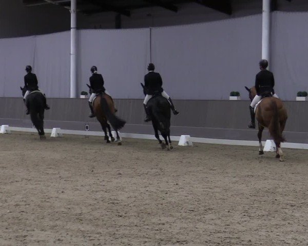 Reitturnier Münster-Handorf 2024