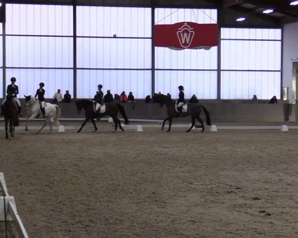 Reitturnier Münster-Handorf 2024