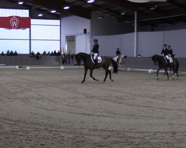Reitturnier Münster-Handorf 2024