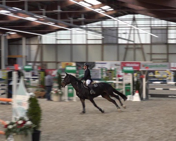 Reitturnier Oberriet 2024