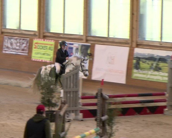 Reitturnier Rüti 2024