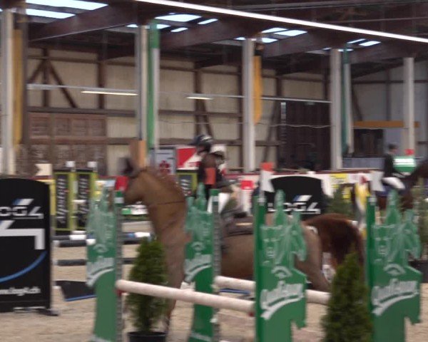 Reitturnier Oberriet 2024