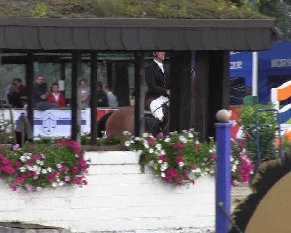Datteln 2013