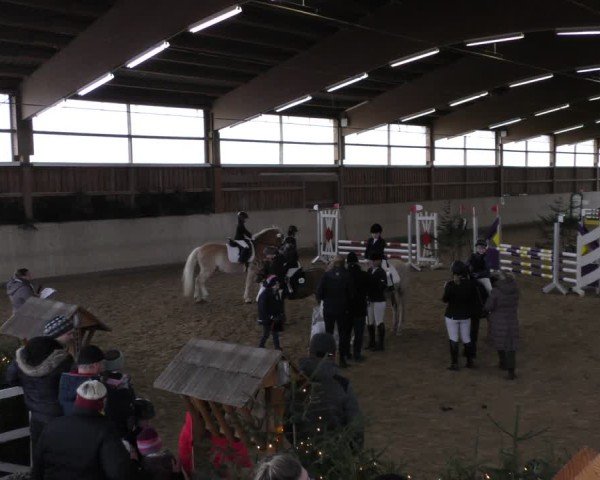 Reitturnier Marktredwitz-Haag/Ofr. 2024