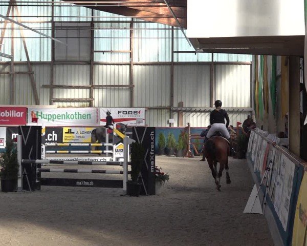 Reitturnier Oberriet 2024