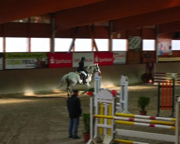 Reitturnier Klein-Partwitz 2021