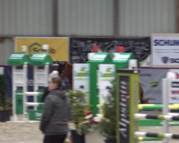 Reitturnier Oberriet 2024