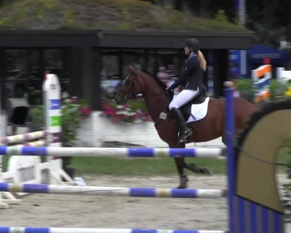 Datteln 2013