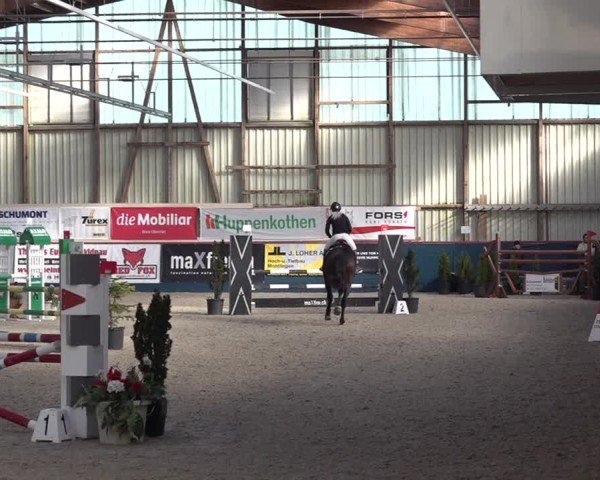 Reitturnier Oberriet 2024