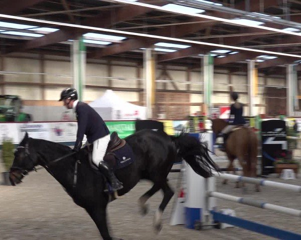 Reitturnier Oberriet 2024