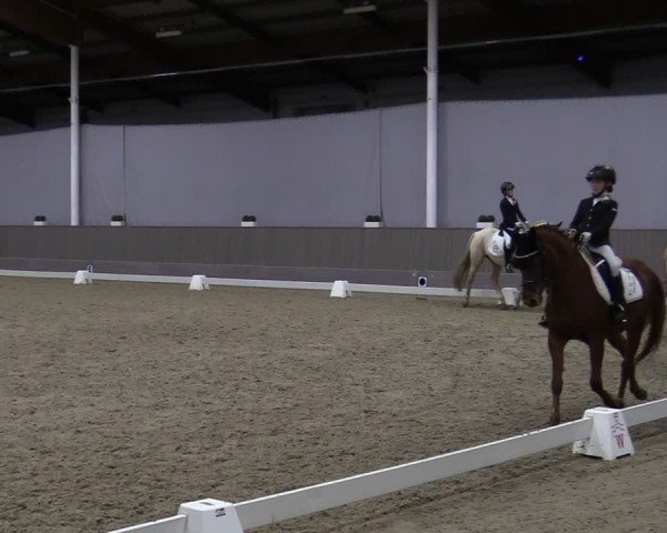 Reitturnier Münster-Handorf 2024