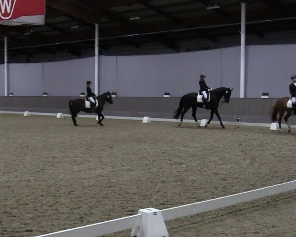 Reitturnier Münster-Handorf 2024