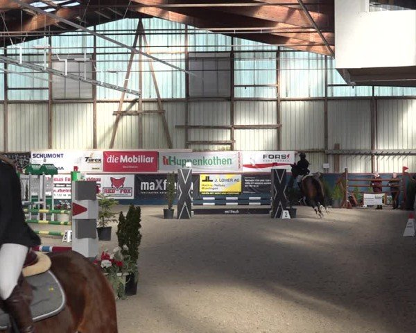 Reitturnier Oberriet 2024