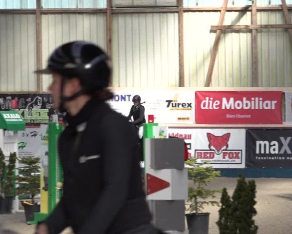 Reitturnier Oberriet 2024