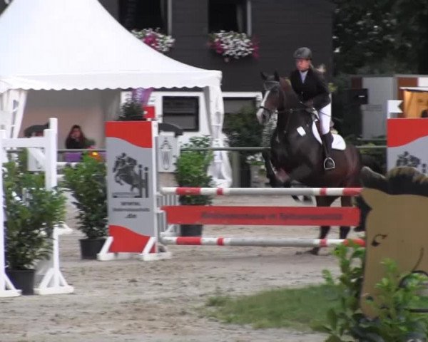 Datteln 2013