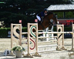 jumper Grand Touched Numo (KWPN (Royal Dutch Sporthorse), 2011, from Untouched)