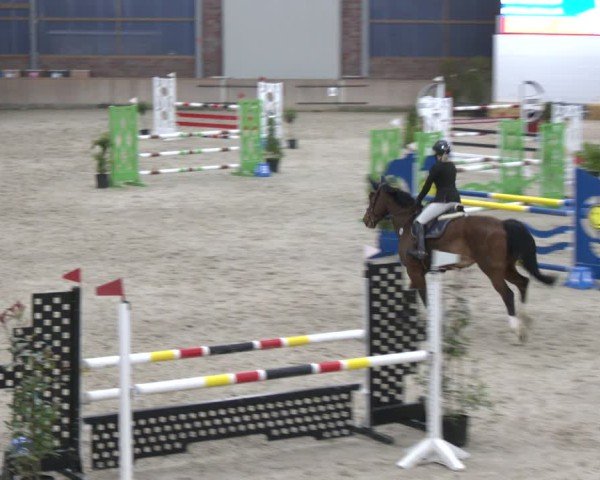 Reitturnier Heek-Nienborg 2024