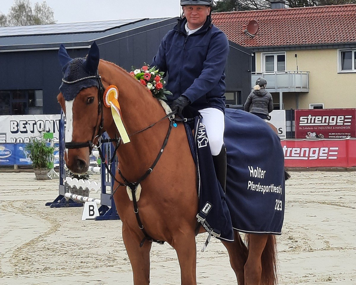 jumper Charan E (German Sport Horse, 2015, from Cellestial)
