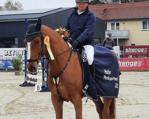 jumper Charan E (German Sport Horse, 2015, from Cellestial)