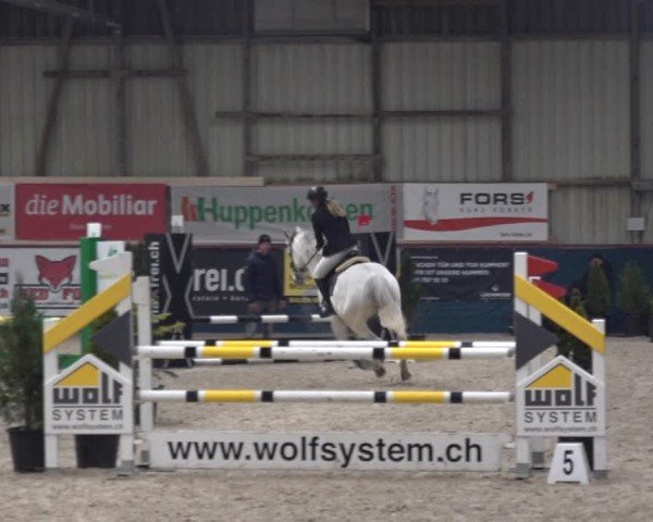 Torneo Equestre Oberriet 2024