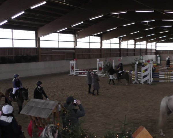 Reitturnier Marktredwitz-Haag/Ofr. 2024