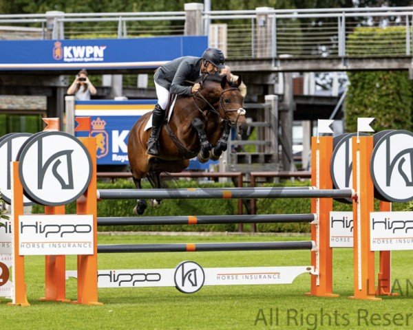 jumper Kadesther (KWPN (Royal Dutch Sporthorse), 2015, from Denzel Vt Meulenhof)