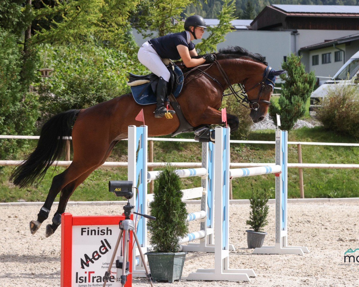 jumper Colleen (Holsteiner, 2014, from Chin Champ)