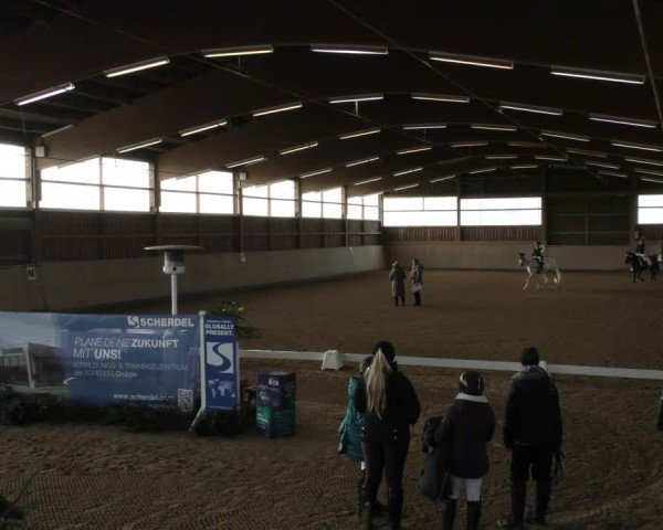 Reitturnier Marktredwitz-Haag/Ofr. 2024