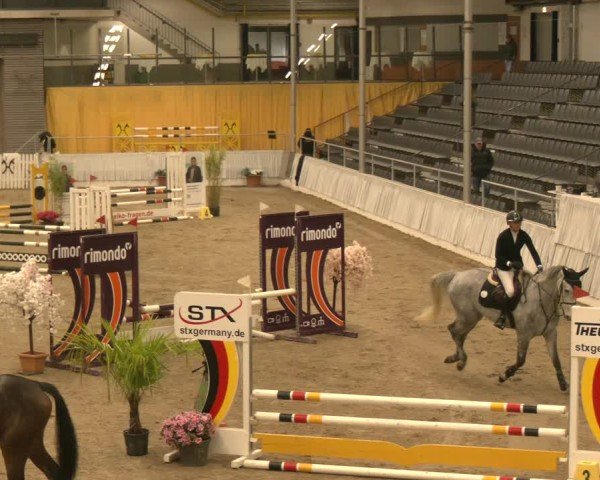 Reitturnier Verden 2024
