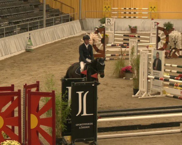 Reitturnier Verden 2024