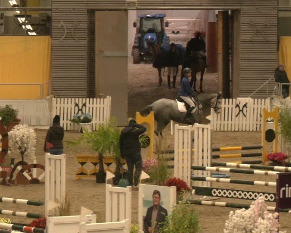 Reitturnier Verden 2024