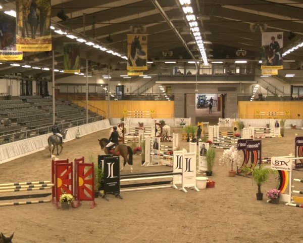 Reitturnier Verden 2024