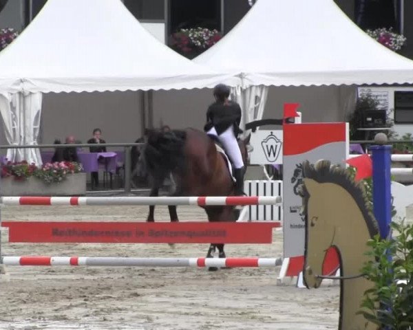 Datteln 2013