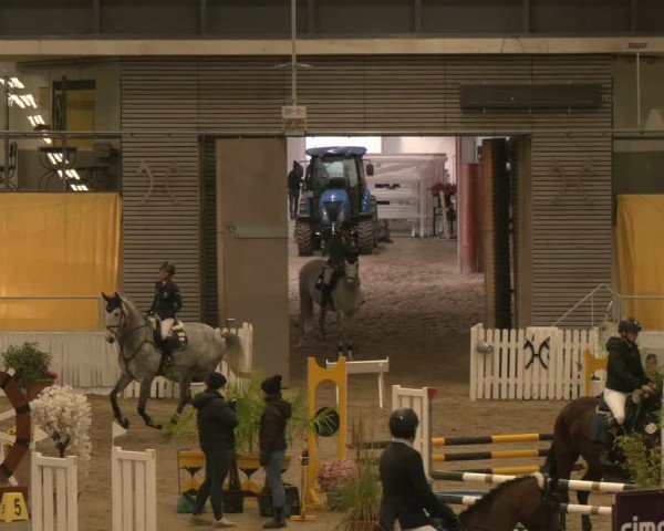Reitturnier Verden 2024