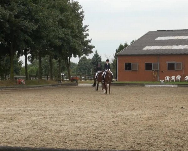Datteln 2013