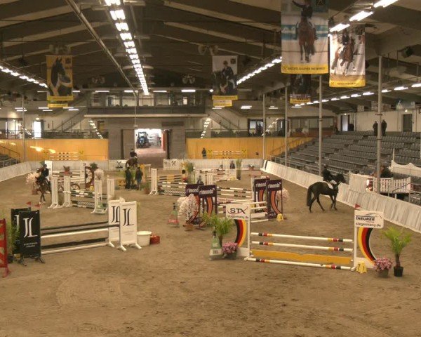 Reitturnier Verden 2024