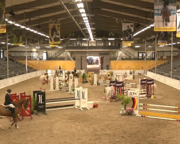 Reitturnier Verden 2024