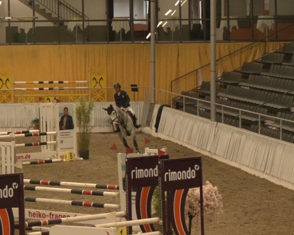 Reitturnier Verden 2024