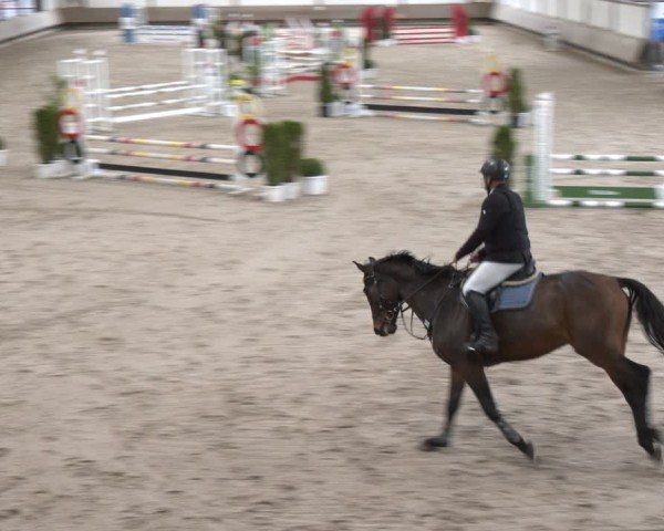 Reitturnier Langenfeld - Gut Langfort 2024