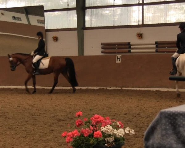 Datteln 2013